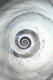 spiral spiral