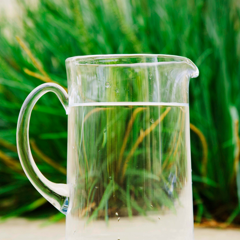 water pitcher hydrate warm optimize Digestion Warm Drink